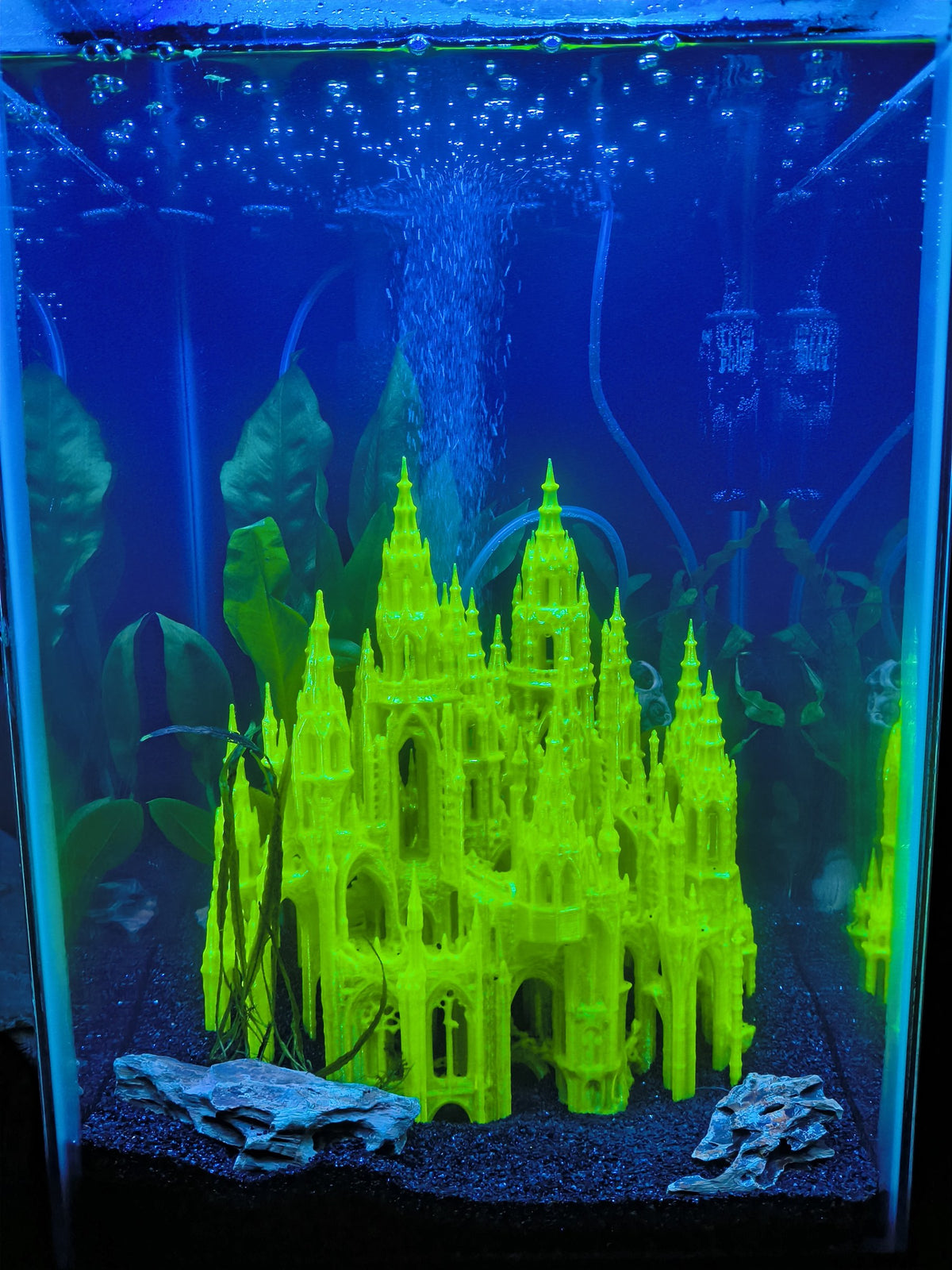 Custom Aquarium Design